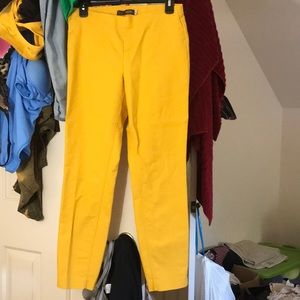 Great pants. Perfect if you work in a office.